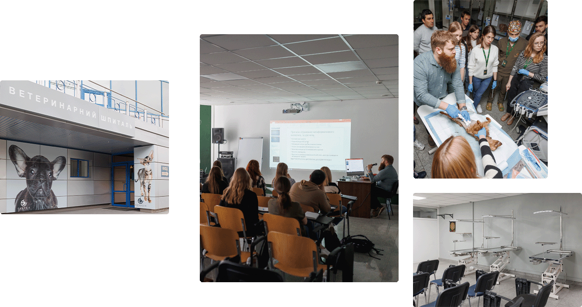 Про Нас