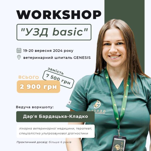Актуальні Курси
