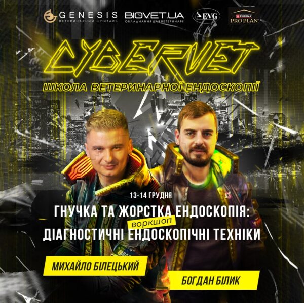 Актуальні Курси
