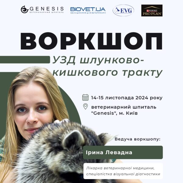 Актуальні Курси