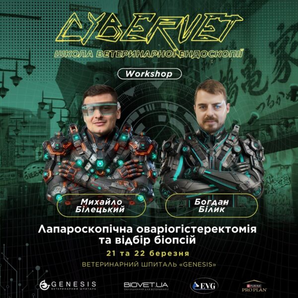Актуальні Курси