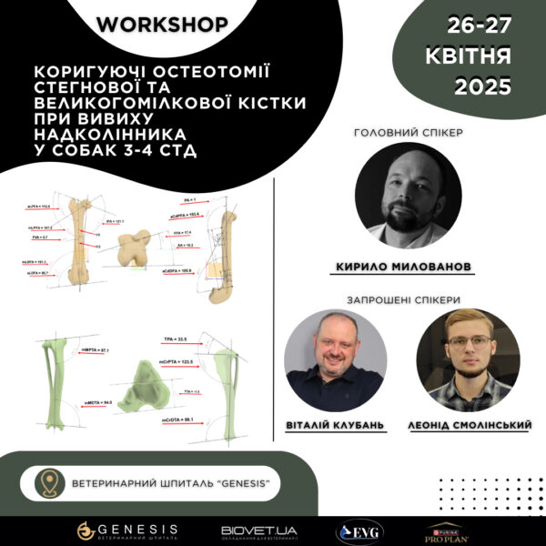 Актуальні Курси