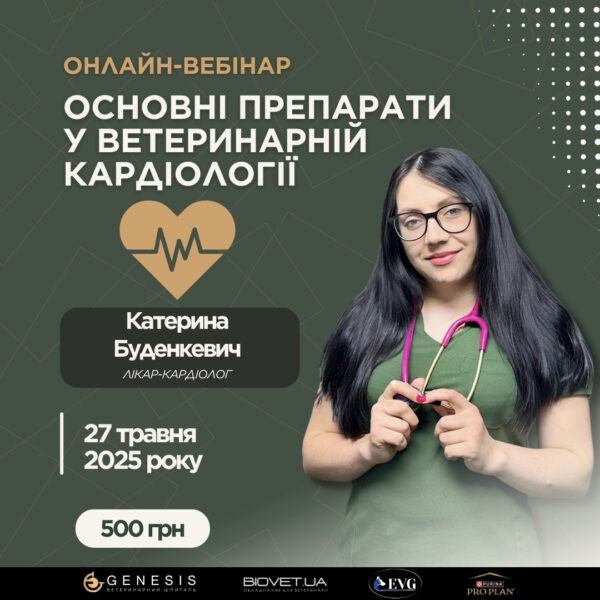 Актуальні Курси