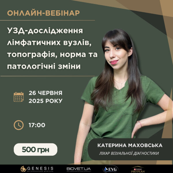 Актуальні Курси