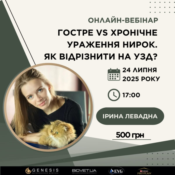 Актуальні Курси