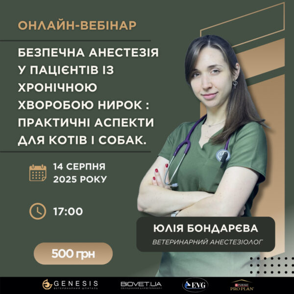 Актуальні Курси
