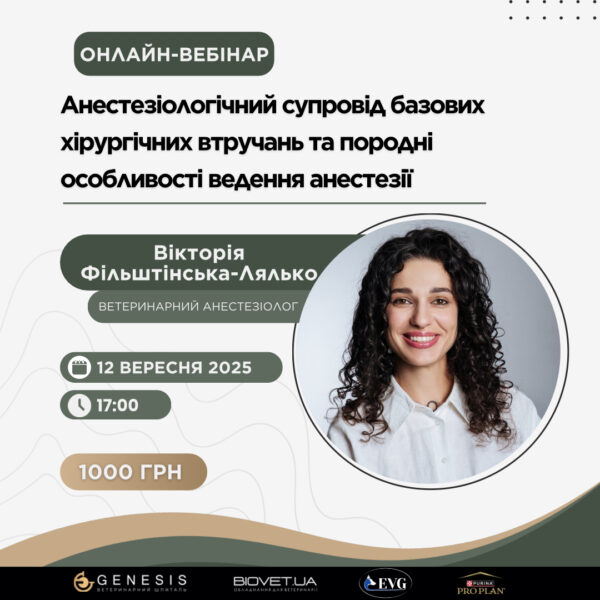 Актуальні Курси