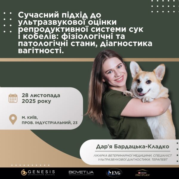 Актуальні Курси