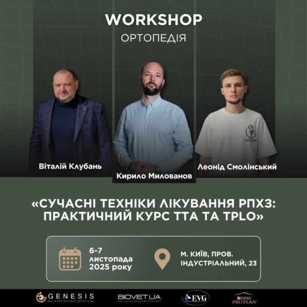Актуальні Курси