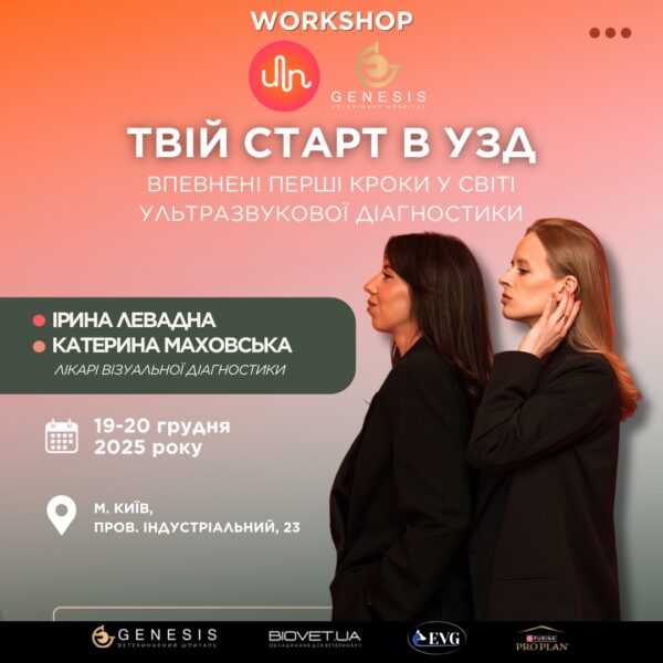 Актуальні Курси