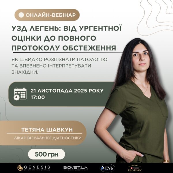 Актуальні Курси