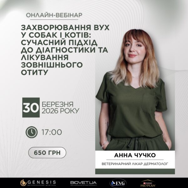 Актуальні Курси