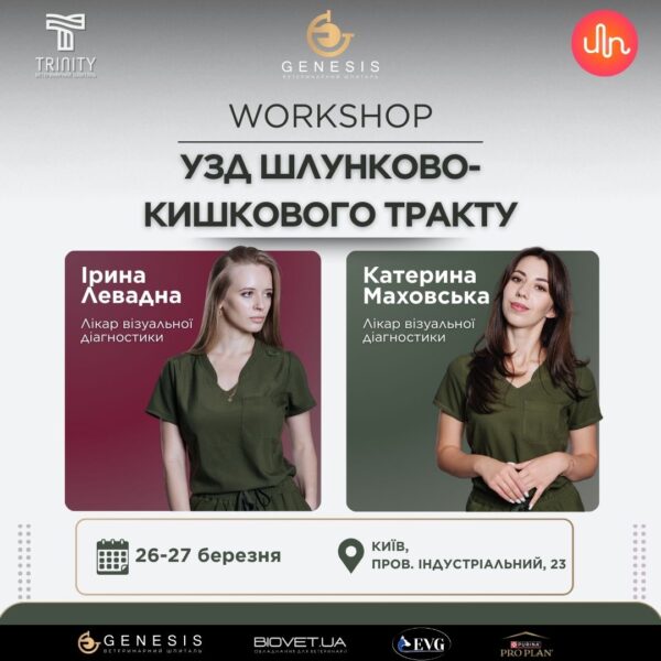 Актуальні Курси