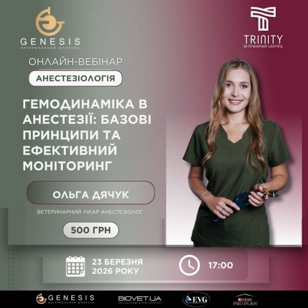 Актуальні Курси
