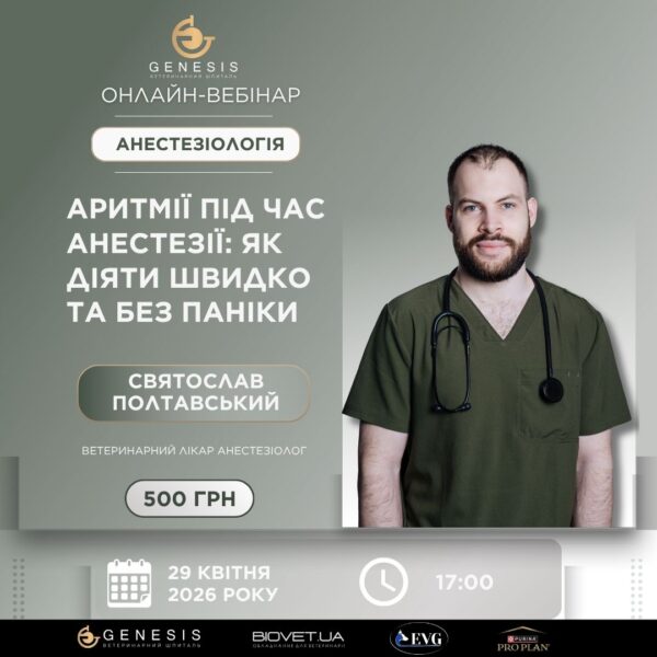 Актуальні Курси