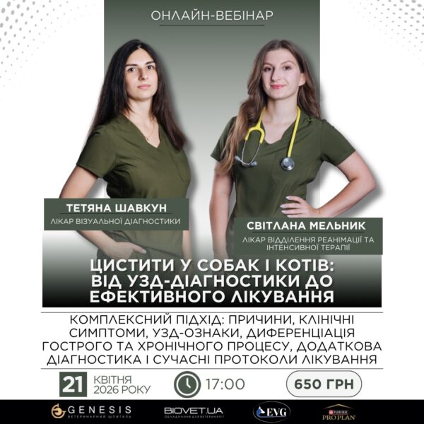 Актуальні Курси