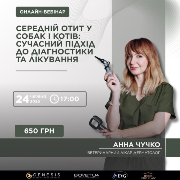 Актуальні Курси