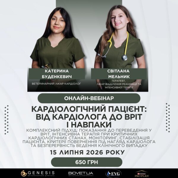Актуальні Курси