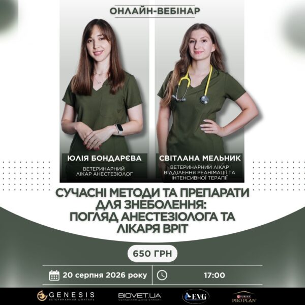 Головна