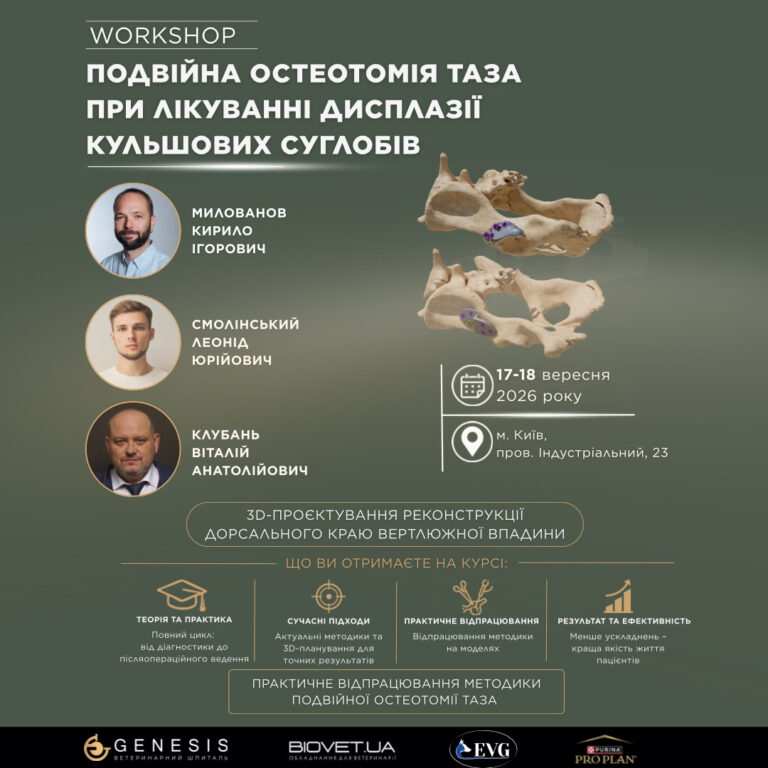 Актуальні Курси